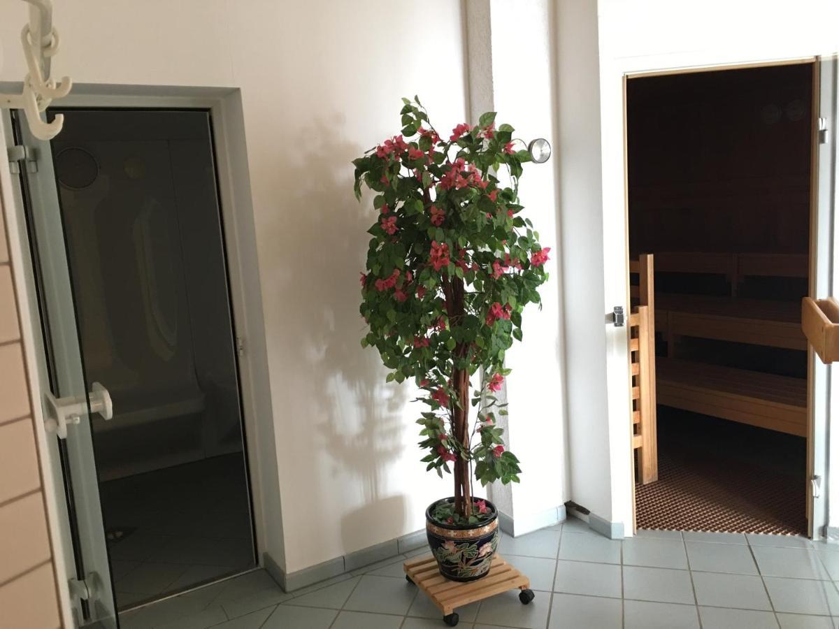 Rausch Apartment